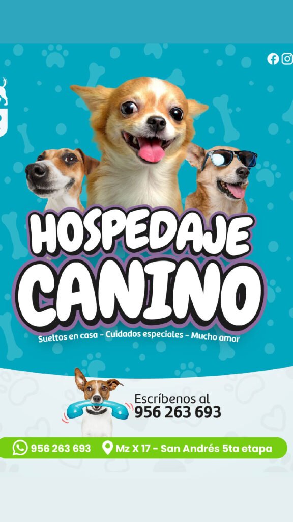 clinidog-03